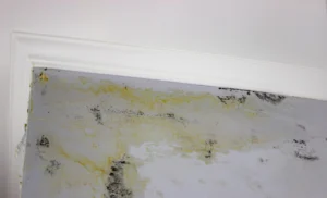 Water damage in home