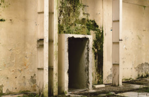 Is There Treatment for Mold Exposure